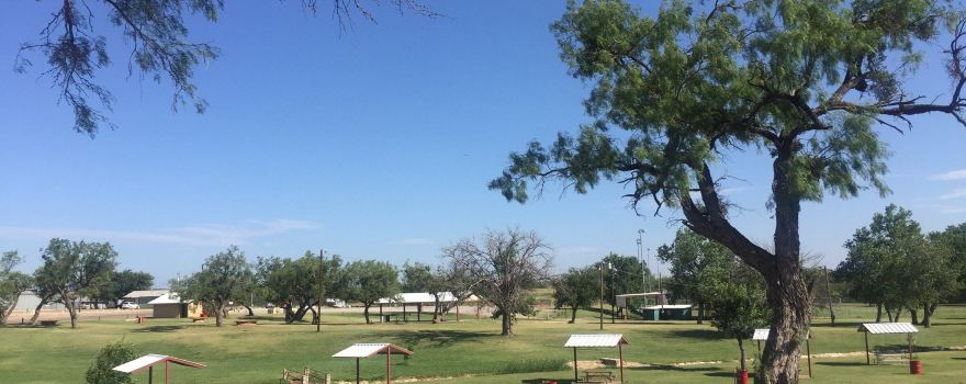 Newman Park