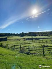 Winding Fences Farm