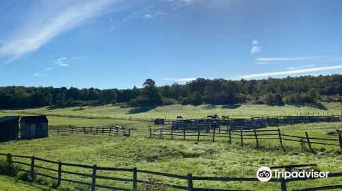 Winding Fences Farm