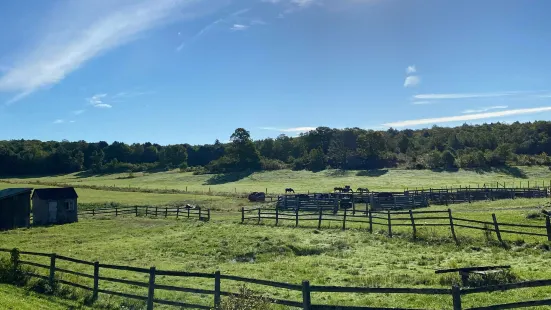 Winding Fences Farm