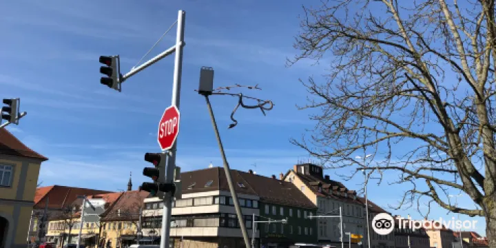 Schlange uber Kreuzung