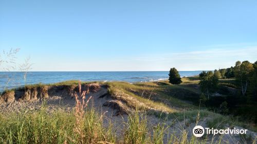 Kohler-Andrae State Park