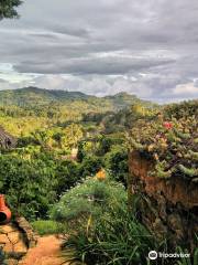 Irente Biodiversity Reserve