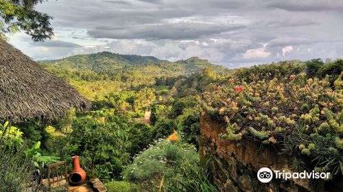 Irente Biodiversity Reserve