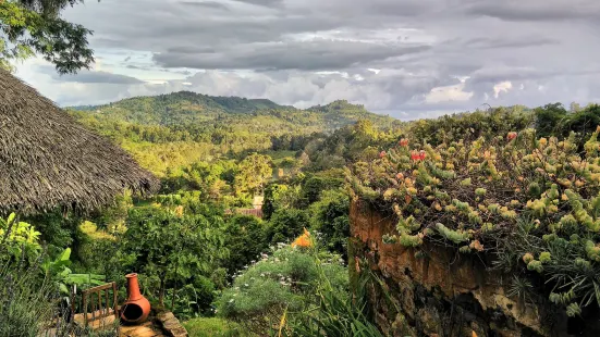 Irente Biodiversity Reserve