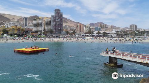 Balneario Municipal Antofagasta