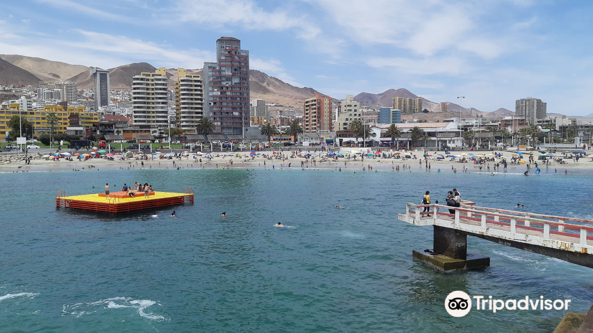 Balneario Municipal Antofagasta