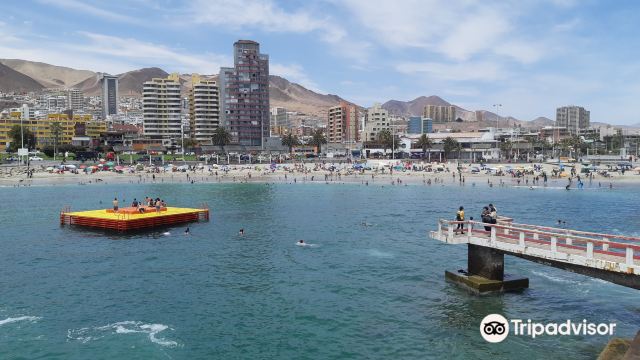 Balneario Municipal Antofagasta