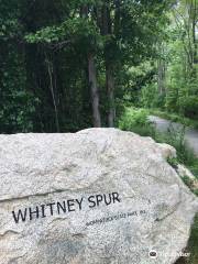 Whitney and Thayer Woods