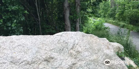 Whitney and Thayer Woods