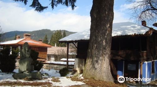 Museum-House Dimcho Debelianov