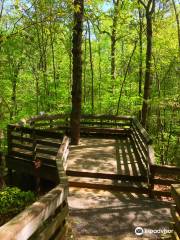 Hemlock Bluffs Nature Preserve