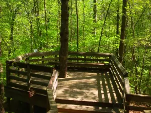 Hemlock Bluffs Nature Preserve