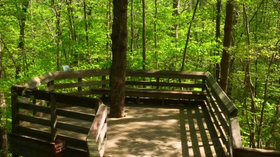 Hemlock Bluffs Nature Preserve