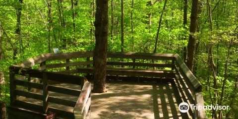 Hemlock Bluffs Nature Preserve