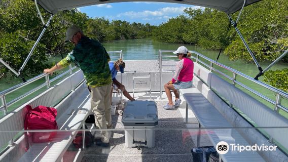 Bimini Twist Charters