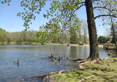 Lippman Park