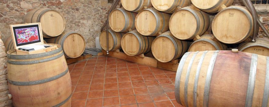 Celler Vermunver