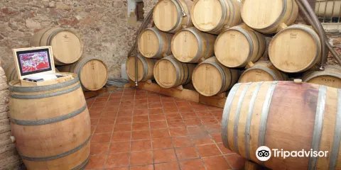 Celler Vermunver