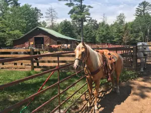 Grassy Creek Ranch