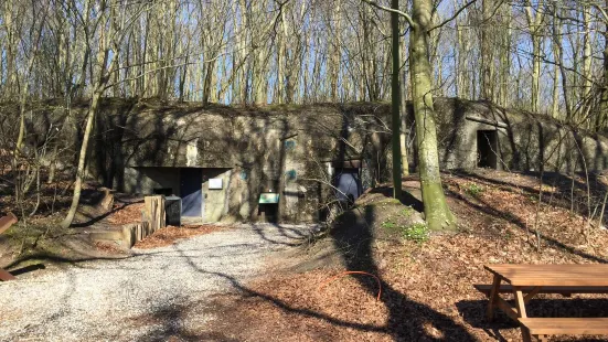 Skanderborg Bunkerne