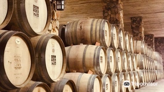 Las Nubes Bodegas y Viñedos