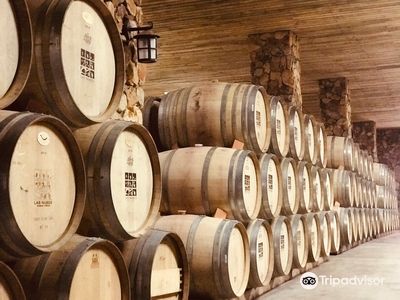 Las Nubes Bodegas y Viñedos