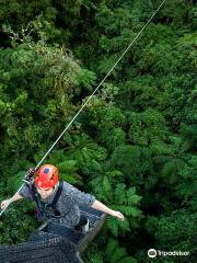 Rotorua Canopy Tours