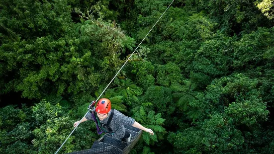 Rotorua Canopy Tours