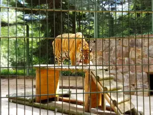 Eifel Zoo