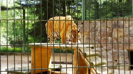 アイフェル動物園