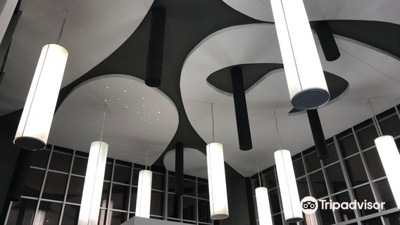 Cerrado Theater - Zulmira Canavarros