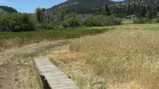 Susanville Ranch Park