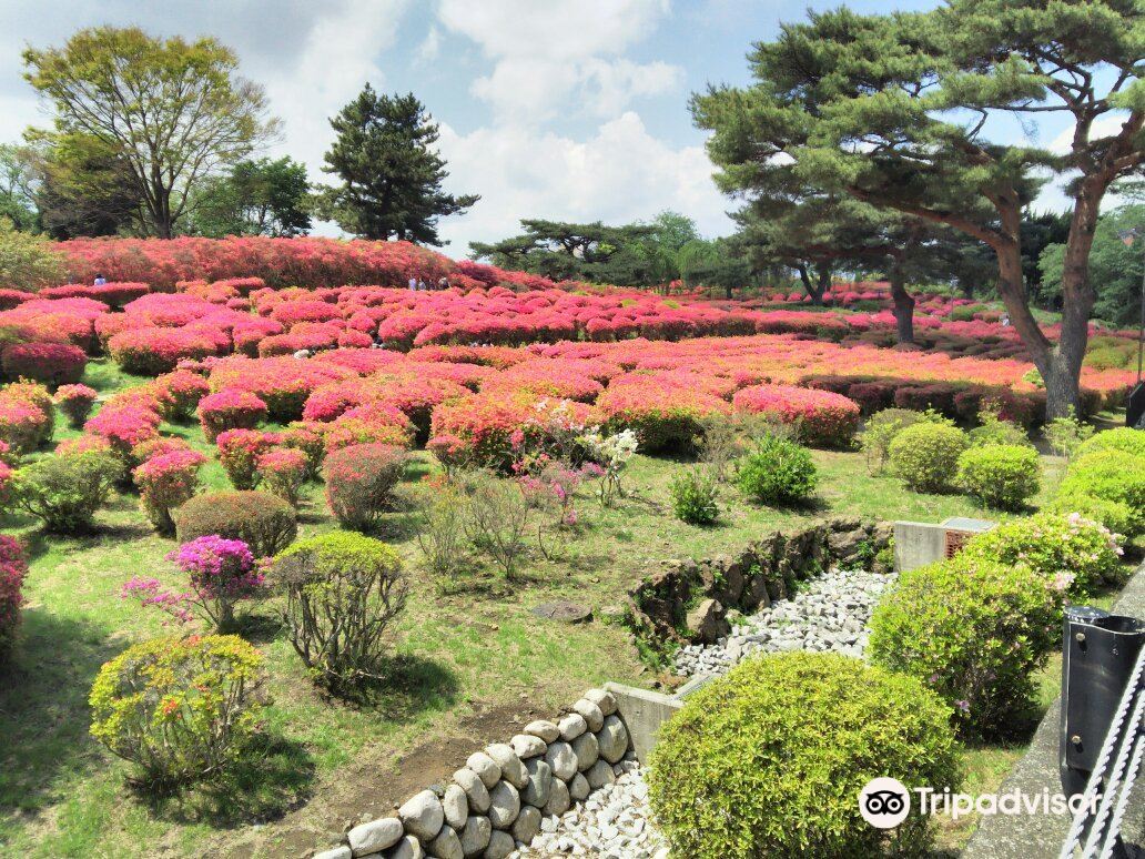 静岡 小室山公園 往復バス＋ケーブルカー Eチケット 予約