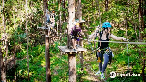 TreeTop Challenge Gold Coast - Australia's Largest Adventure Park