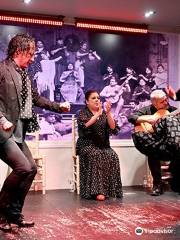 Tablao Flamenco La Cantaora