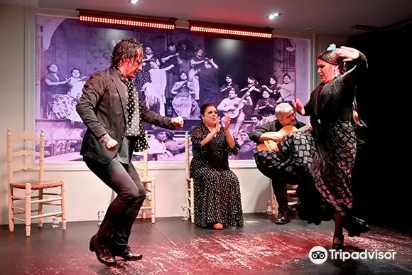 Tablao Flamenco La Cantaora