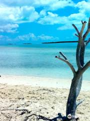 Little Water Cay