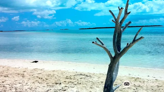 Little Water Cay