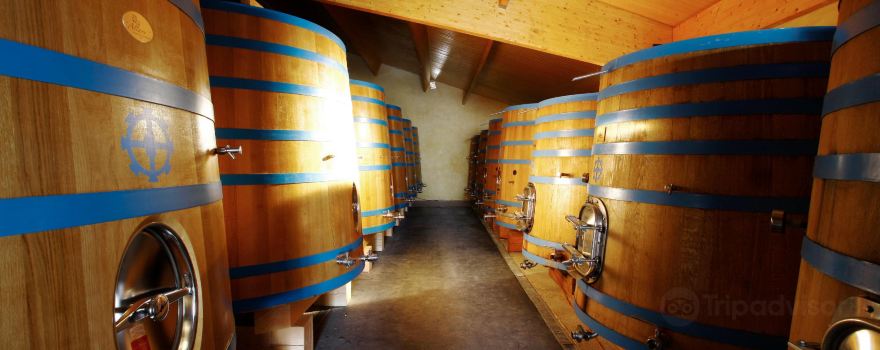 Chateau Cantinot