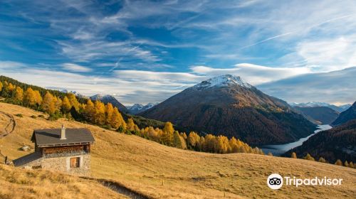 Swiss National Park