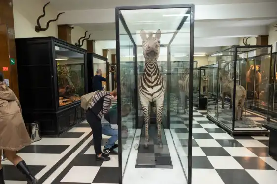 Hotel berhampiran National Museum of Natural History