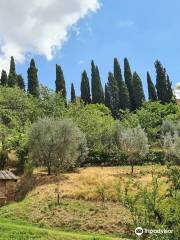 Orto Botanico di Siena