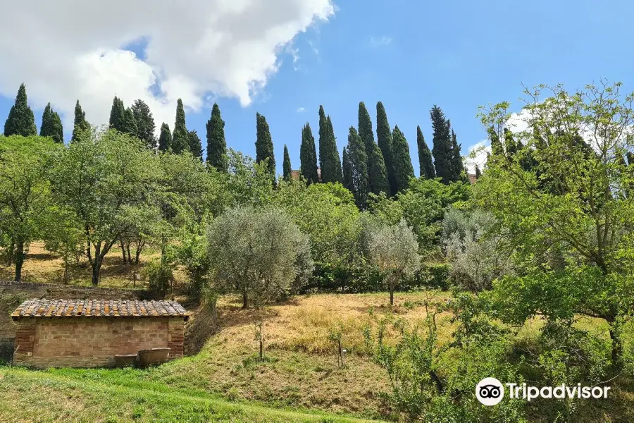 Jardín Botánico de la Universidad de Siena