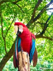 Parque Zoobotanico de Teresina