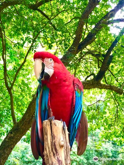 Zoo And Botanical Park Teresina