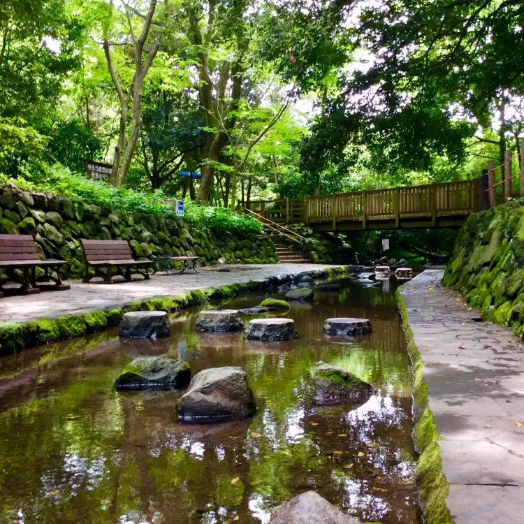 Hotels in Shimizu