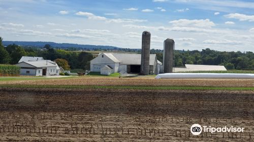 The Amish Village