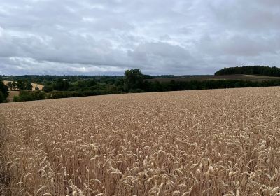 Snelsmore Common Country Park