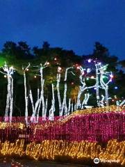 Suyanggae Light Tunnel